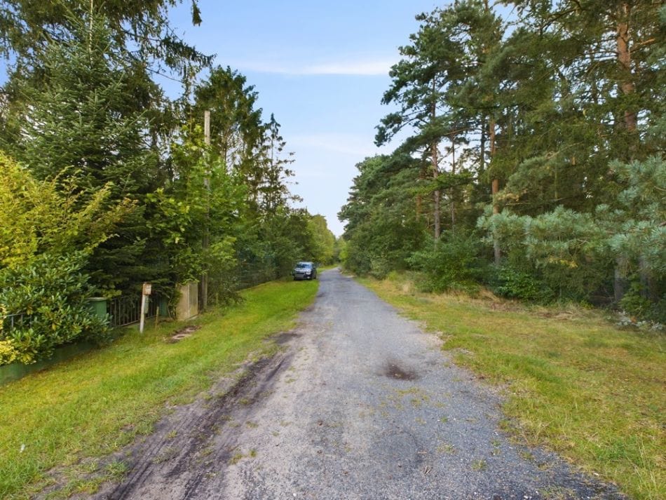 Immobilie in Winsen (Aller) - Ferienhaus mit Erstwohnsitz auf großem Grundstück - Bild 3