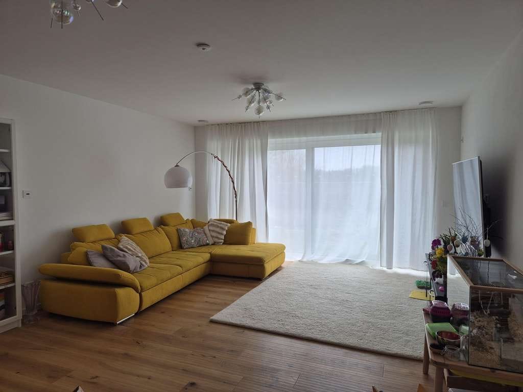Immobilie in Waldenburg - Exklusives KFW 40+ Haus mit ELW, Smart Home und PV Anlage und Sauna - Bild 3