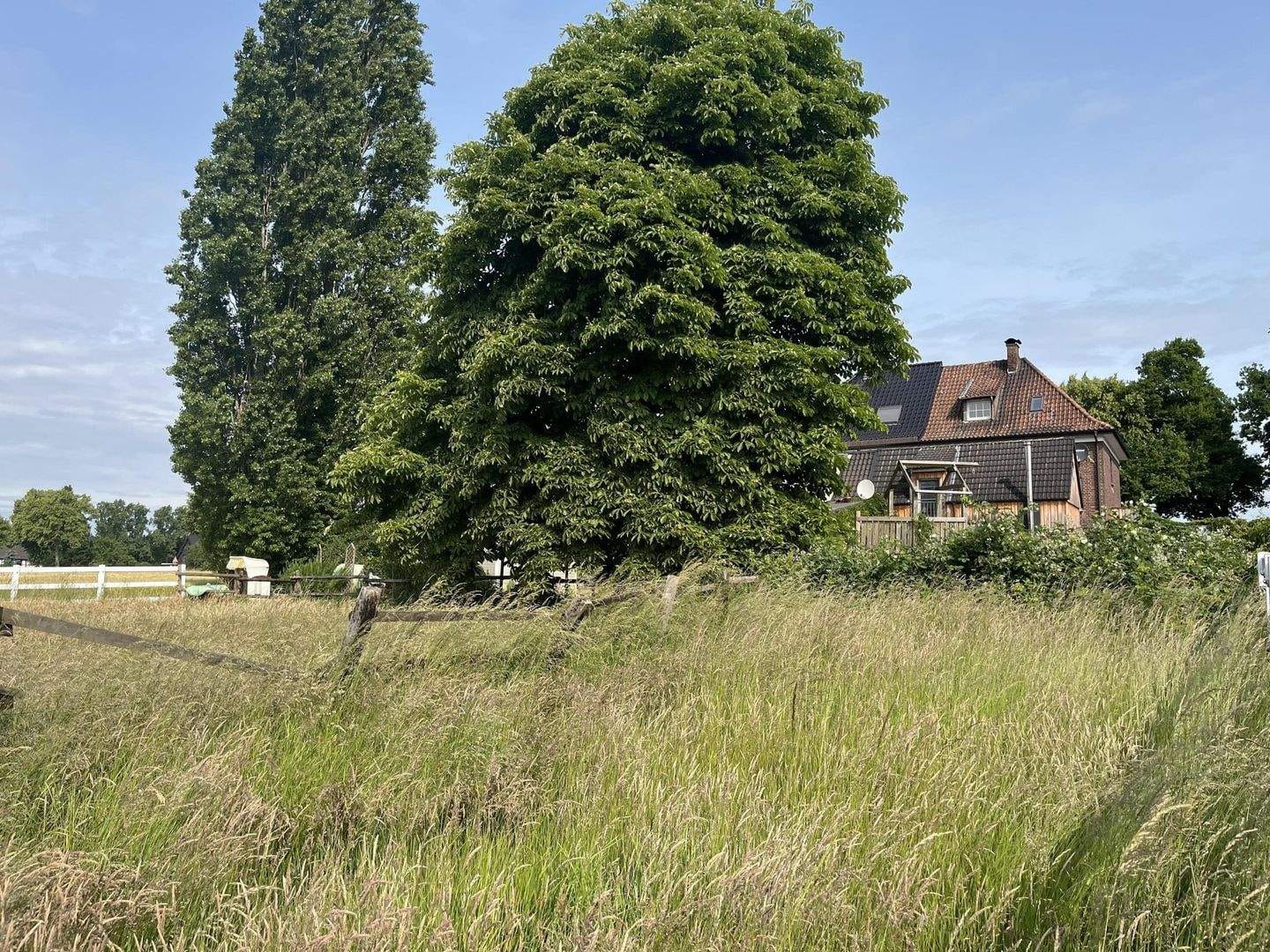 Immobilie in Werne - Werne-West: liebevoll sanierte Doppelhaushälfte - ideal als Mehrgenerationenhaus nutzbar - Bild 2