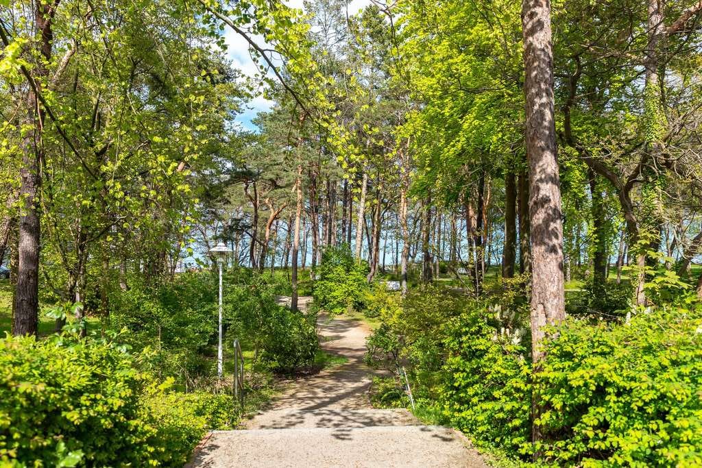 Immobilie in Baabe - Traumhafte Eigentumswohnung mit zwei Balkonen in Strandnähe im Ostseebad Baabe auf der Insel Rügen - Bild 3