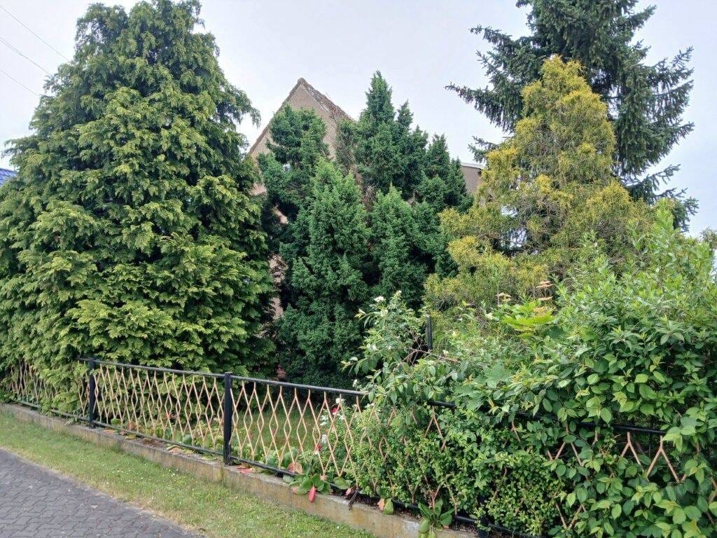 Immobilie in Eilenburg - Einfamiliehaus mit Nebengebäuden - Sprotta-Siedlung - Bild 1