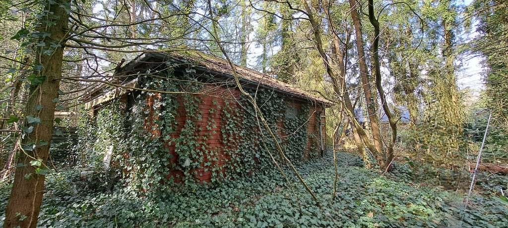Immobilie in Vierden - Zivilisationsnahe Natur-Idylle  . . . - Bild 0