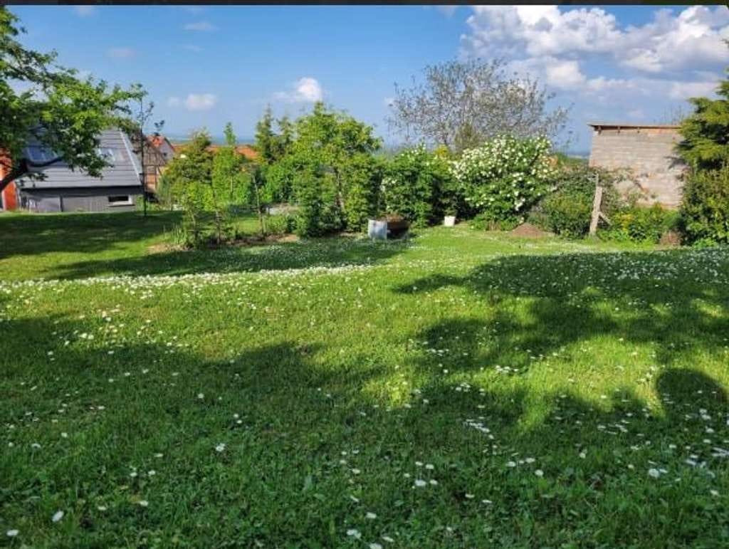 Immobilie in Elxleben - Das Stadthaus zum Wohlfühlen in Witterda - Komfort und Design perfekt kombiniert - Bild 1