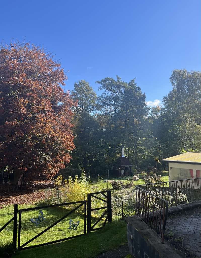 Immobilie in Ulrichstein - Großes Anwesen mit 2 Häusern, 400 m², Scheune & 1900 m² Grundstück in ruhiger Lage - Bild 4