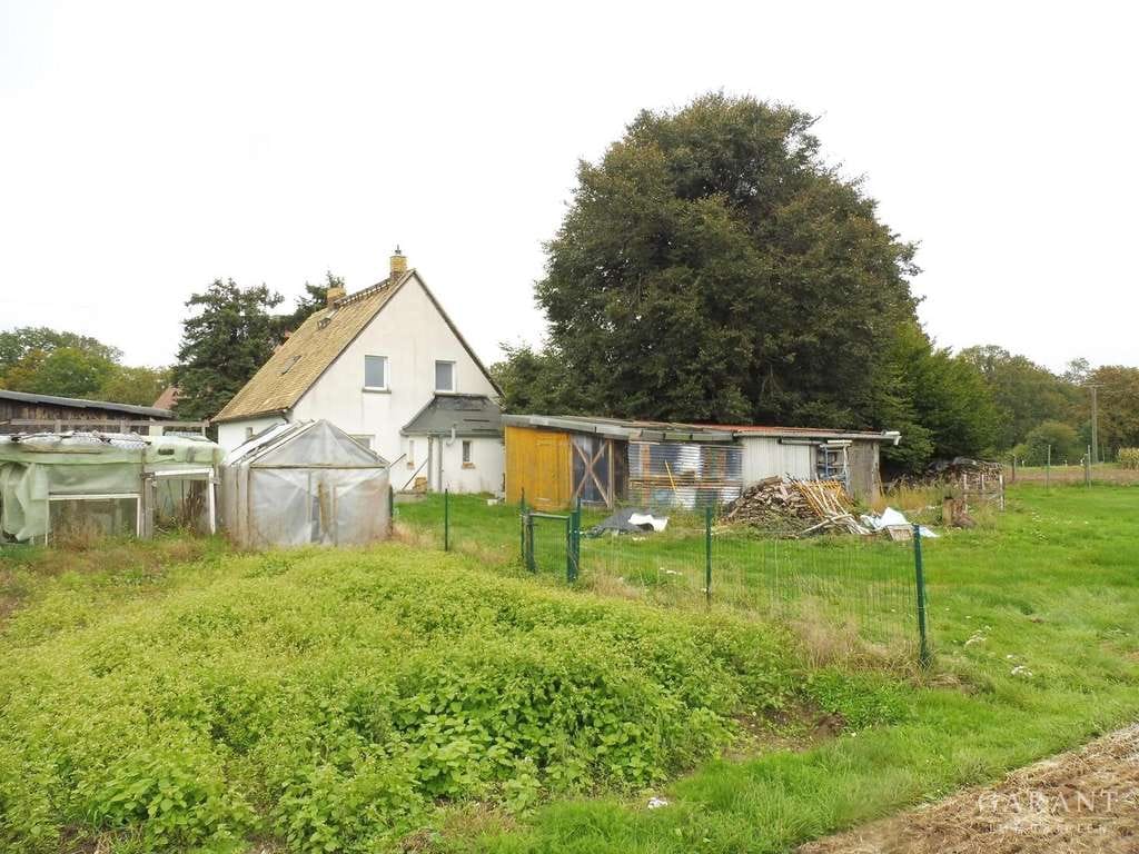Immobilie in Lossatal - Einfamilienhaus mit großem Grundstück in ruhiger Lage - Bild 4