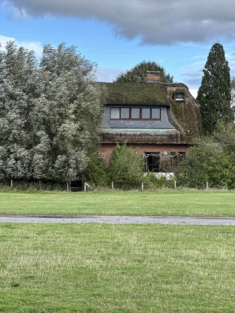 Immobilie in Engelbrechtsche Wildnis - Reethaus am Deich mit Elbblick und weiterem  Baugrundstück - Bild 3