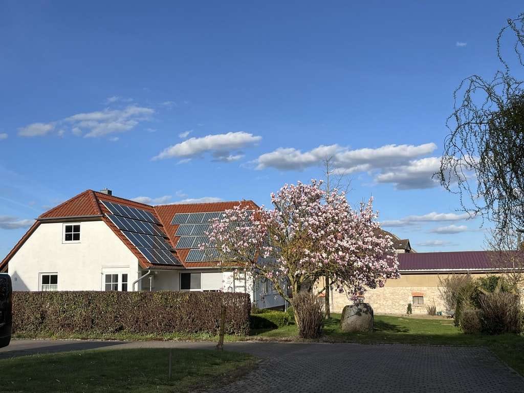 Immobilie in Frellstedt - Einfamilienhaus auf großem Grundstück - Bild 2