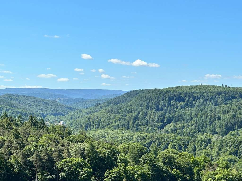 Immobilie in Waldbronn - LAGE, LAGE, LAGE - DHH auf schönem Grundstück mit TraumBLICK ins Albtal in Busenbach - Bild 1