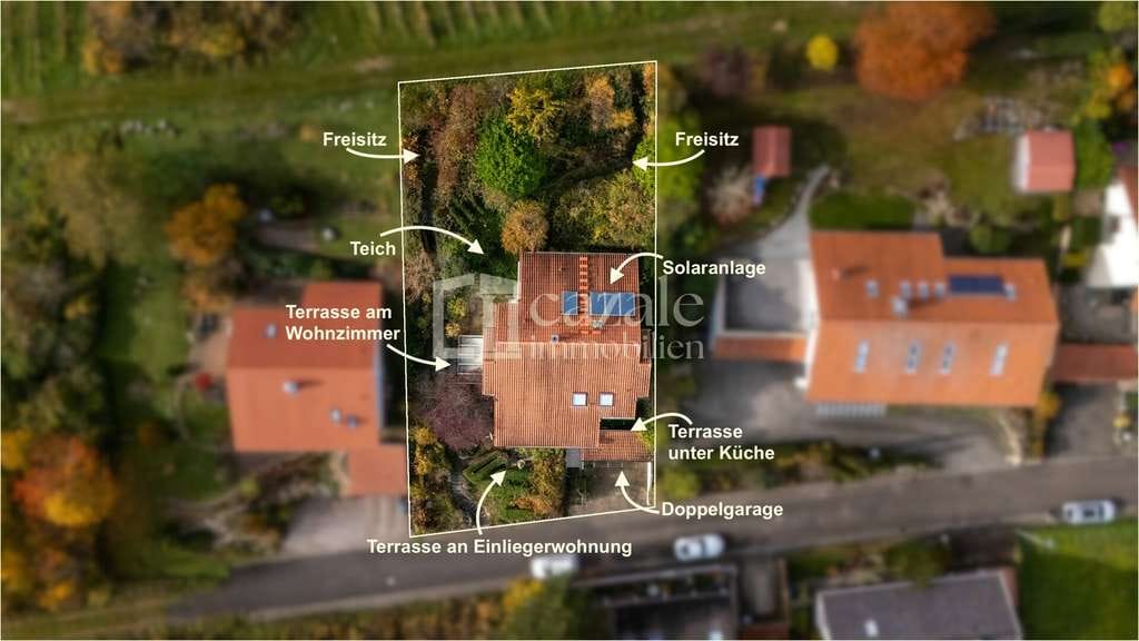 Immobilie in Gleiszellen-Gleishorbach - Luxuriöses Architektenhaus in Split-Level-Bauweise mit malerischem Blick über die Rheinebene - Bild 2