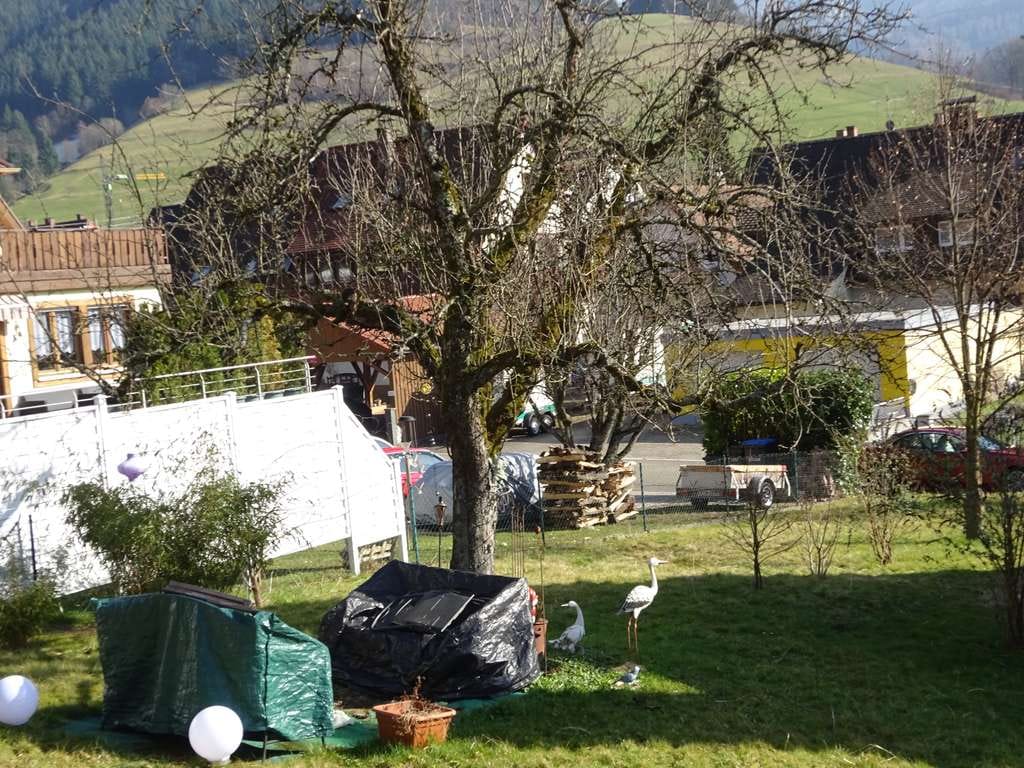 Immobilie in Münstertal/Schwarzwald - +++ Geplantes freistehendes Einfamilienhaus auf der Sonnenseite +++ - Bild 3