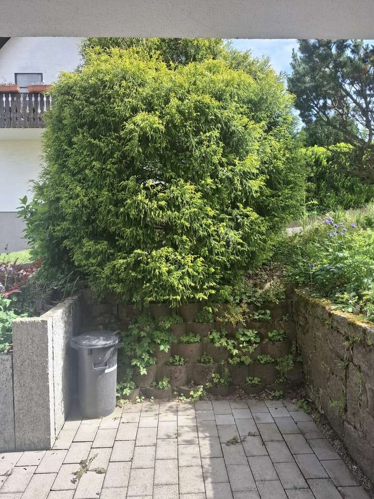 Immobilie in Sinzheim - Wohnen in ruhigem grünen Umfeld mit Aussicht - Bild 2