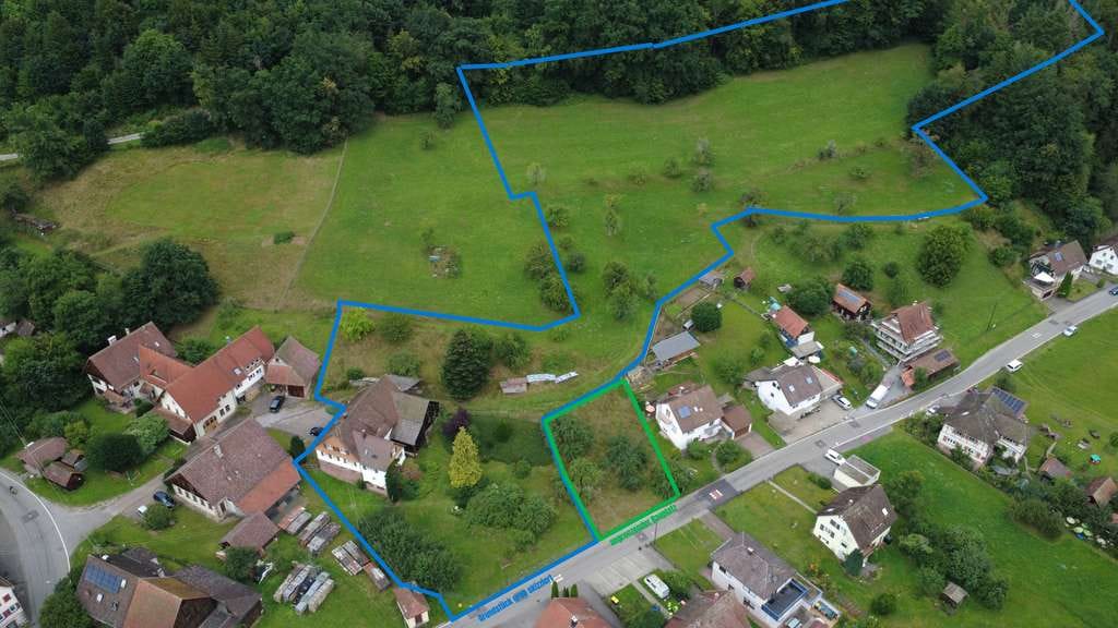 Immobilie in Neubulach - Traum für Tierhalter oder Selbstversorger – Bauernhaus mit Scheune und 15.500m² Grundstück - Bild 2