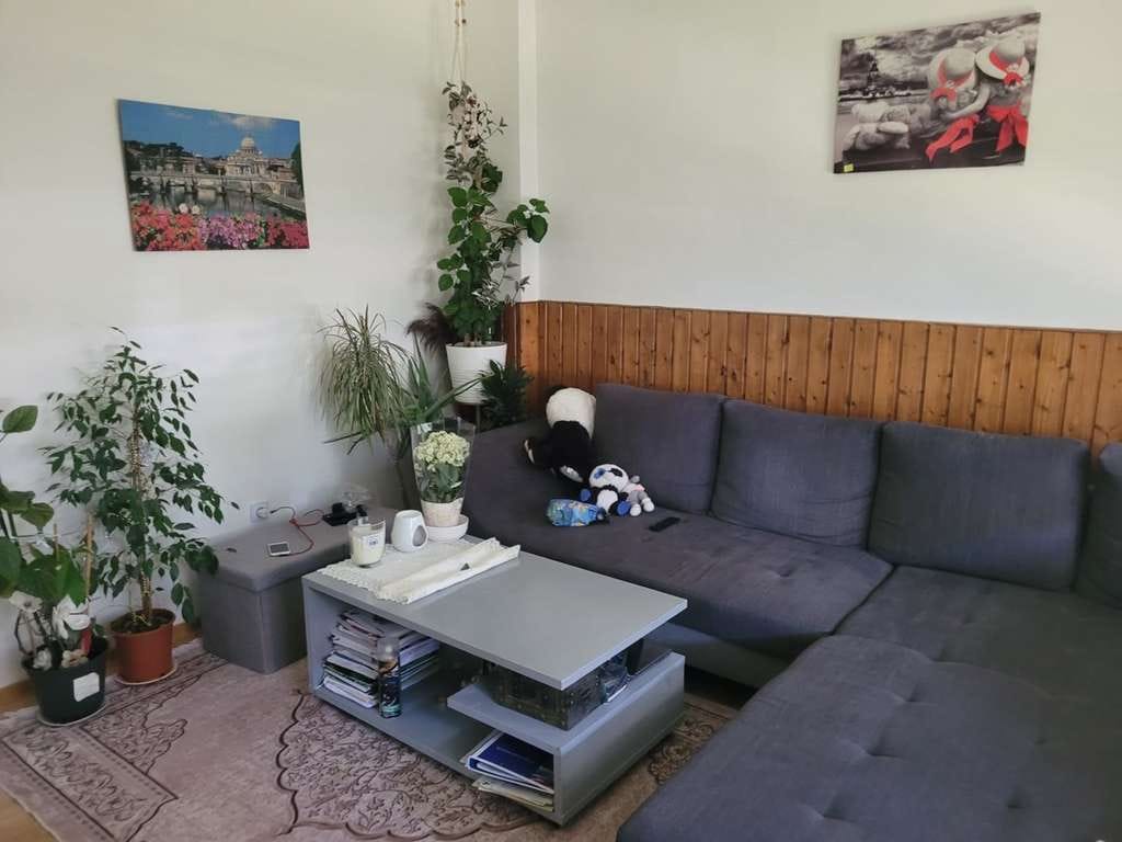 Immobilie in Hemer - Solide Kapitalanlage: Voll vermietets 5-Parteien-Mehrfamilienhaus in Hemer - Bild 3