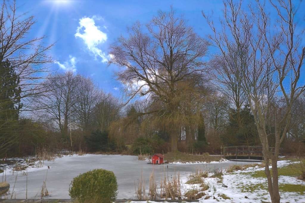 Immobilie in Wesseln - Idyllisches, teilvermietetes Domizil mit Sauna und Wintergarten - Bild 2