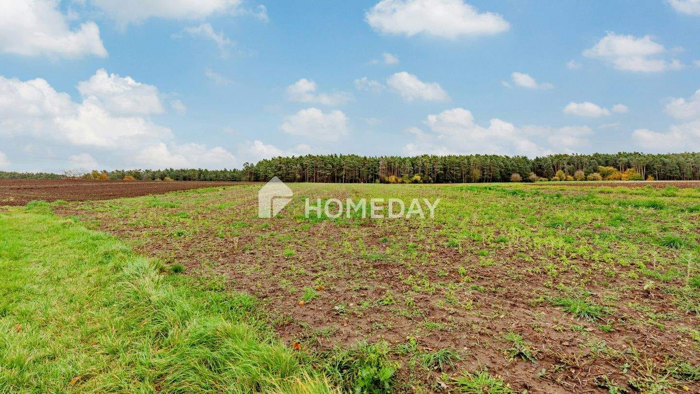 Immobilie in Abenberg - 8,79 ha: Großflächiges Areal für Landwirtschaft, Forst und Neugestaltung - Bild 1