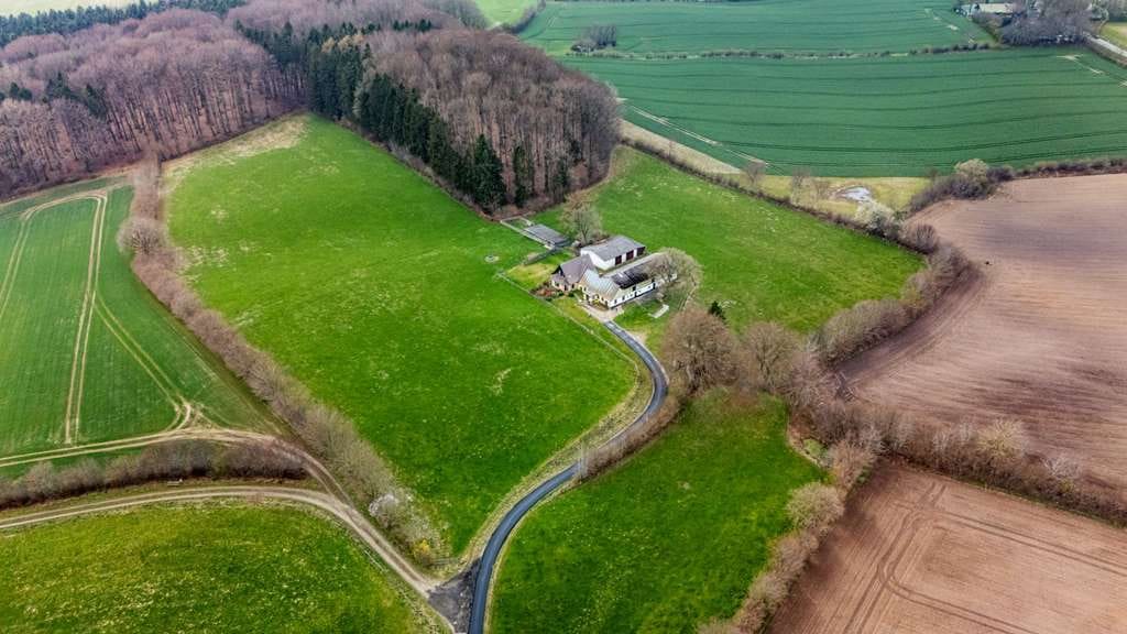 Immobilie in Böklund - Dein Traum vom Landleben: Resthof mit 6 Hektar Grünland in Böklund - Bild 0