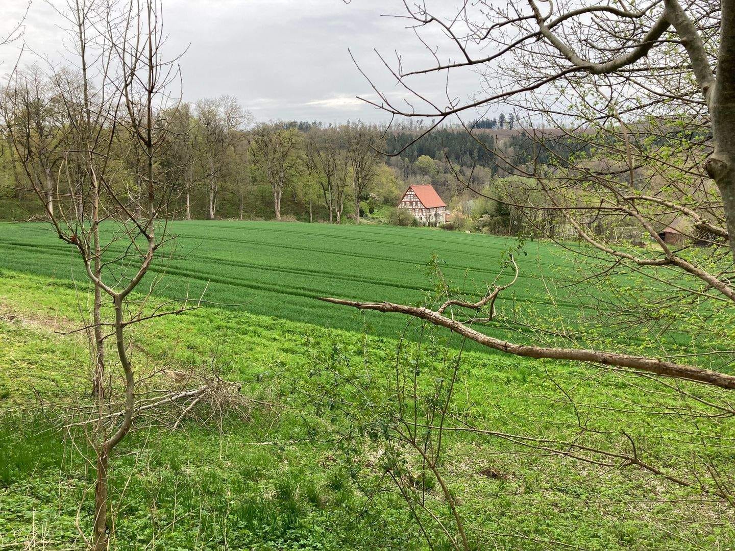 Immobilie in Inzigkofen - "Eine Liebe fürs Leben: Ihr besonderes Zuhause für Sie und Ihre Familie - am Tor zum Donautal, umgeben von sonniger, grüner Natur." - Bild 4
