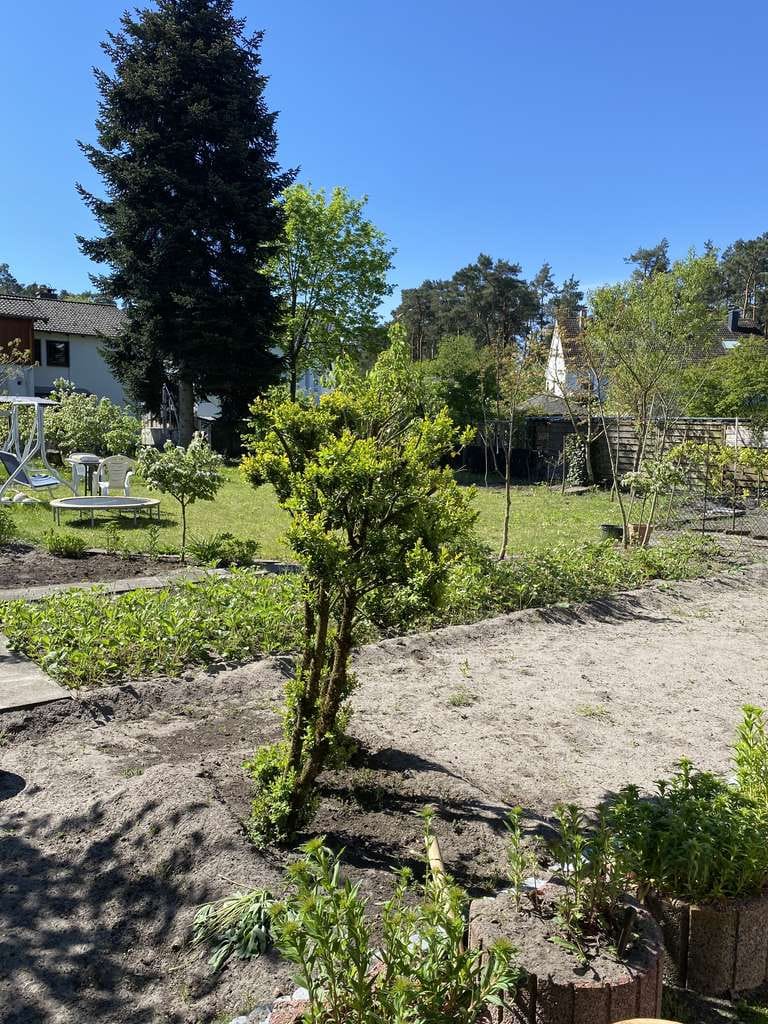 Immobilie in Schlangen - Kapitalanlage mit starkem Entwicklungspotenzial - Bild 1