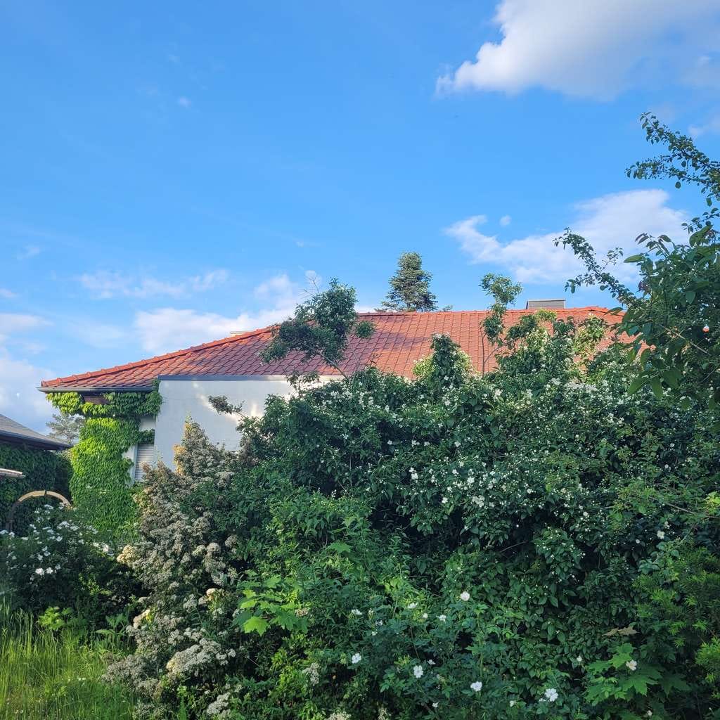 Immobilie in Niedere Börde - EFH ca.200m²/933m² Samswegen nahe Waldgebiet VB - Bild 1