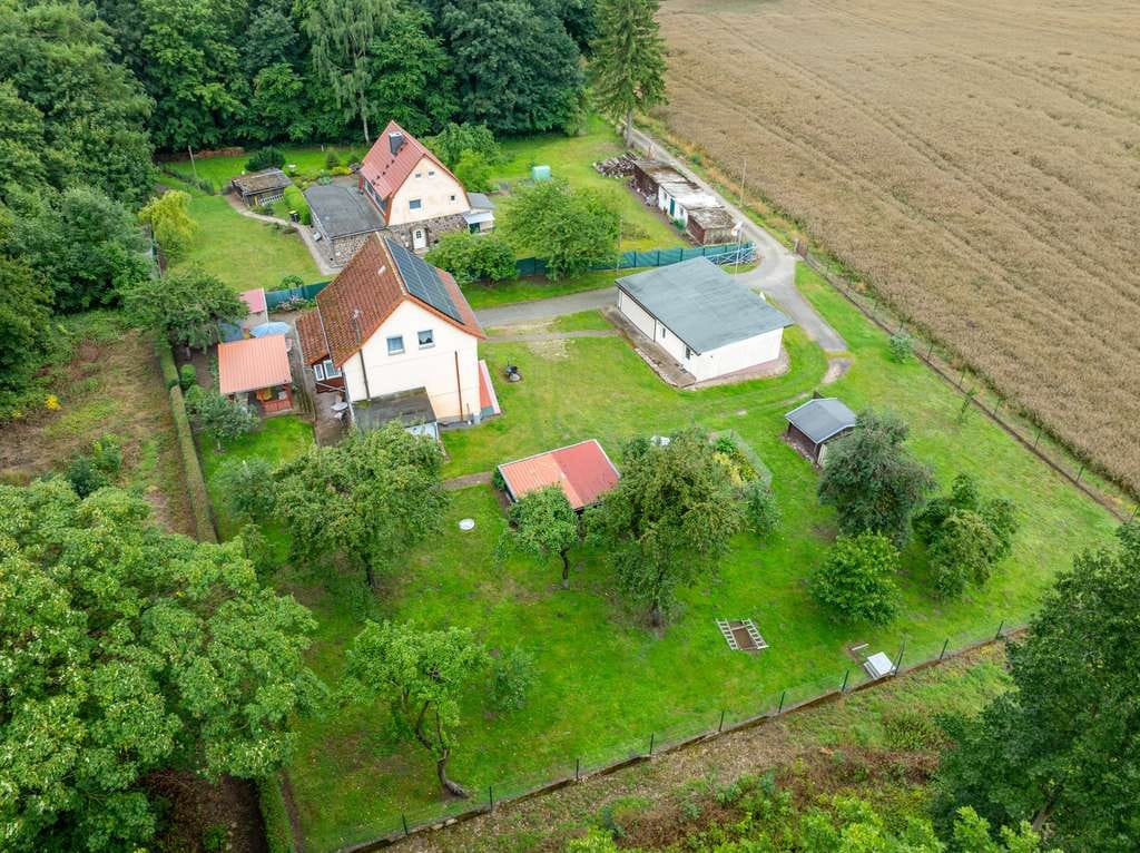 Immobilie in Peenehagen - Wohnen im Grünen – modernisiertes Landhaus mit viel Platz und Geschichte - Bild 2
