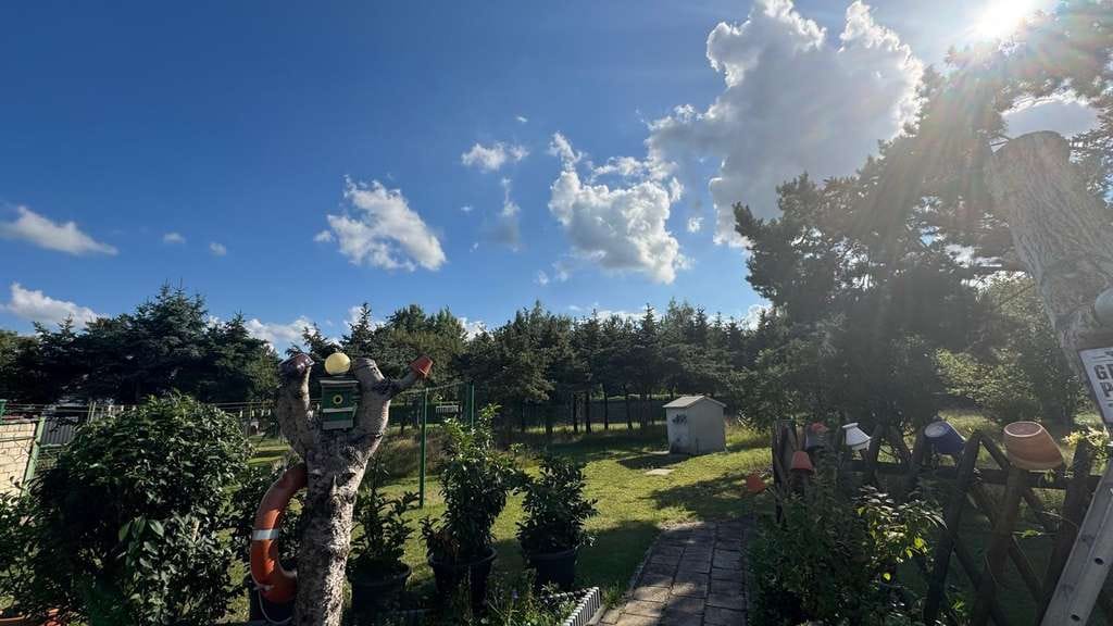Immobilie in Premnitz - ruhig gelegenes Einfamilienhaus mit großem Garten in Döberitz zu verkaufen! - Bild 2