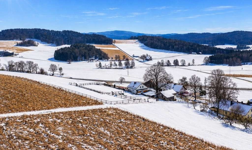 Immobilie in Michelsneukirchen - Ländliches Anwesen mit weitläufigem Grundstück und Reit-/Bewegungsplatz - Bild 2