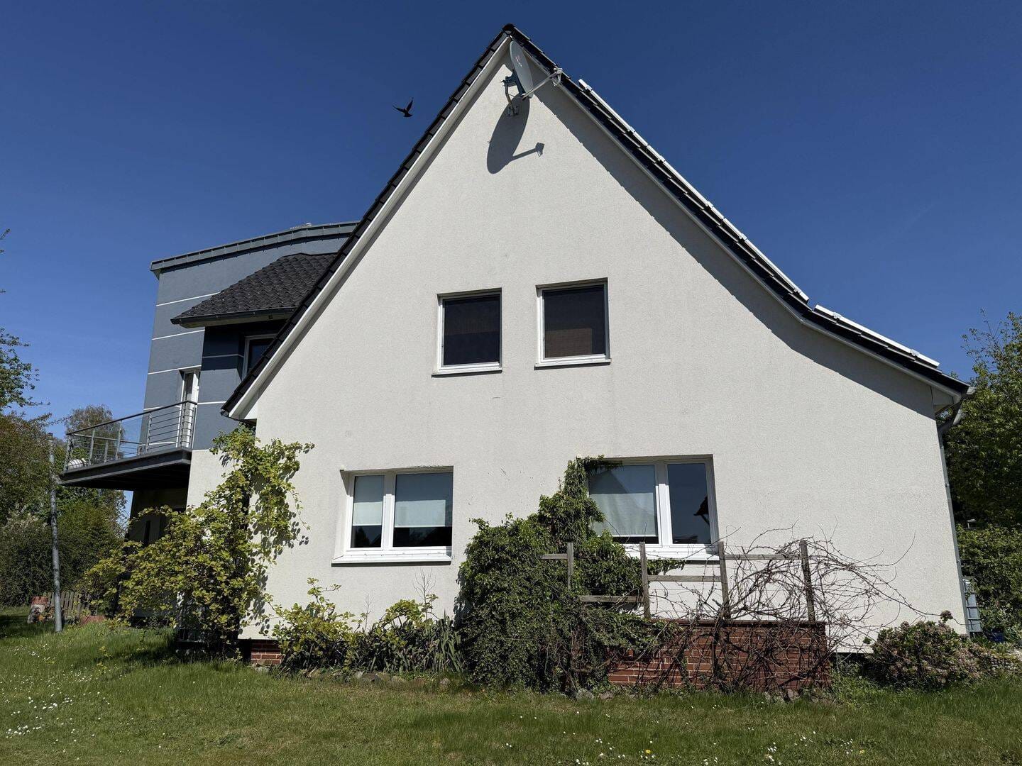 Immobilie in Diepholz - +++ Ein Zuhause mit Zukunft - Mehrgenerationenwohnen auf großem Grundstück mit Baupotential +++ - Bild 2