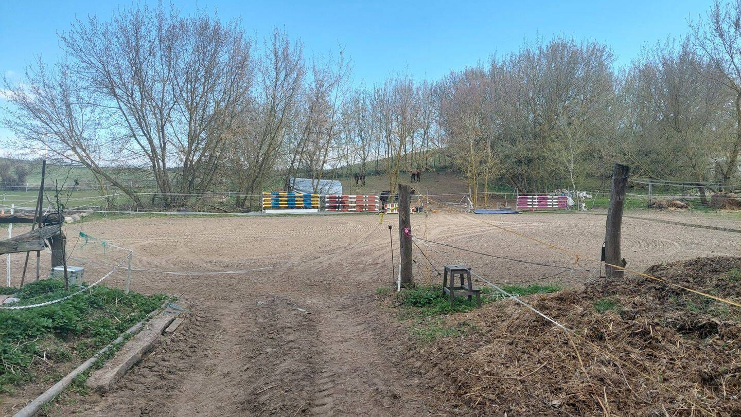 Immobilie in Vierlinden - Reiterhof mit Einfamilienhaus - Bild 3