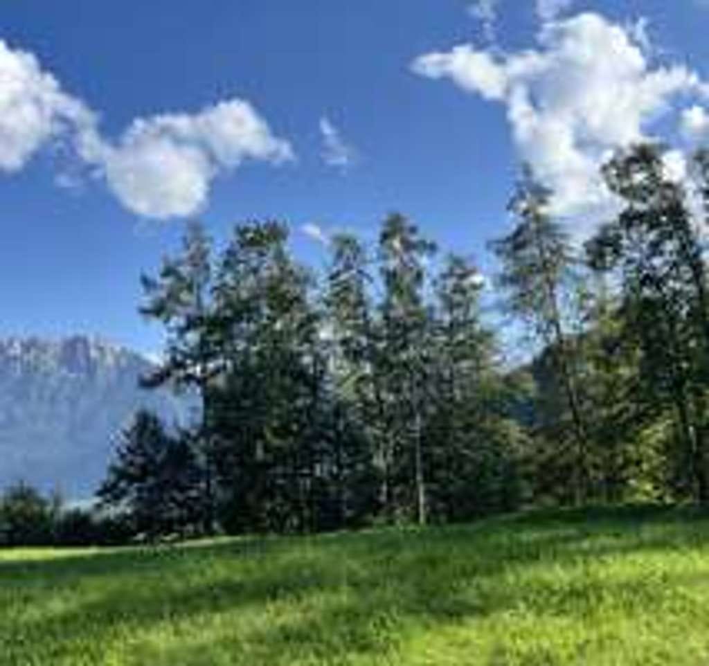 Immobilie in Kiefersfelden - I. I. TEAM: ruhiges Wohnen mit traumhaften Ausblick ! - Bild 2