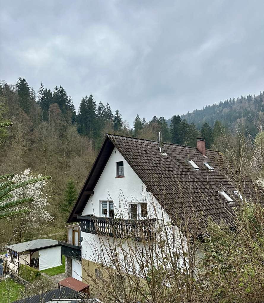 Immobilie in Forbach - Ruhe und Erholung *Wohnung  am *Waldrand  mit Bachlauf - Bild 4
