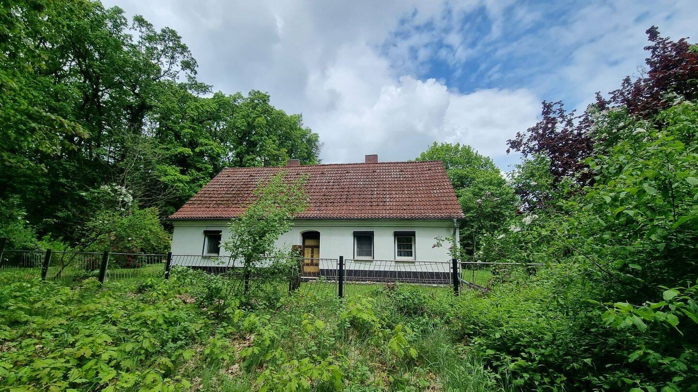 Immobilie in Sallgast - Charmantes Einfamilienhaus mit Scheune in idyllischer Lage in Sallgast - Ihr neues zu Hause am Schlosspark - Bild 1