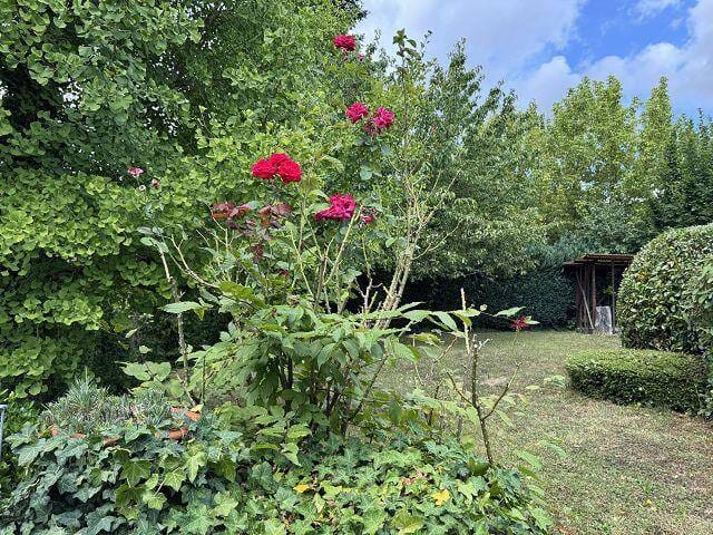 Immobilie in March - Einfamilienhaus in wunderschöner Lage und mit Gartengeschoss-Wohnung - Bild 2