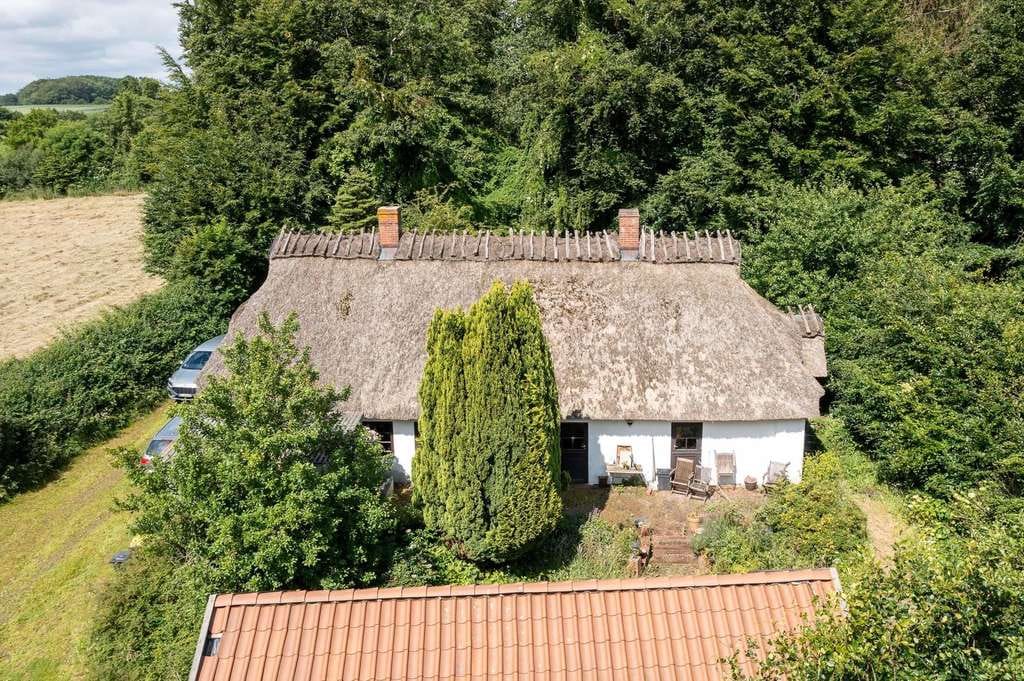 Immobilie in Grundhof - Reetgedecktes Einfamilienhaus in ruhiger Lage - Bild 2
