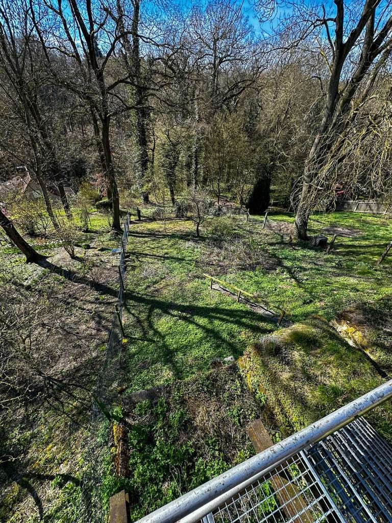 Immobilie in Bad Bibra - Charmantes Einfamilienhaus mit 831 m² Grundstück und viel Potenzial in Finneland - Bild 1