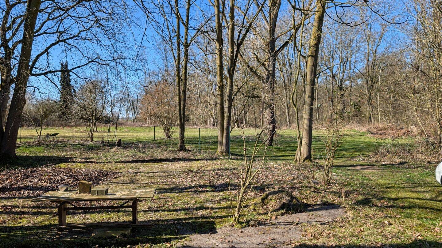 Immobilie in Hückelhoven - Doppelhaushälfte in traumhafter Alleinlage in der Natur mit 6.660 m² Grundstücksgröße - Bild 4