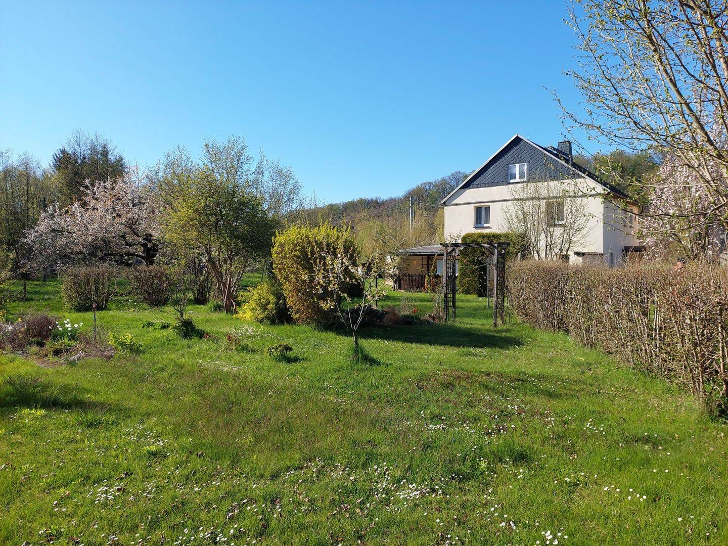Immobilie in Roßwein - Einfamilienhaus in ruhiger Lage - Bild 3