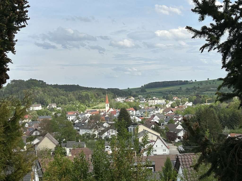 Immobilie in Allmendingen - Ideal für die Familie: Großzügiges Einfamilienhaus in Allmendingen - Bild 3
