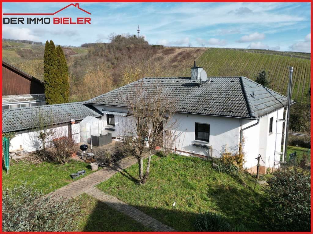 Immobilie in Waldlaubersheim - Großes EFH mit ELW in Ortsrandlage von Waldlaubersheim bei Stromberg zu verkaufen - Bild 1