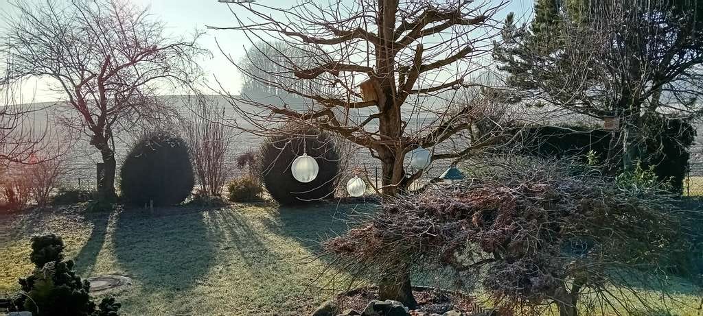 Immobilie in Reimlingen - Traumhaus in idyllischer Lage  - Bild 0