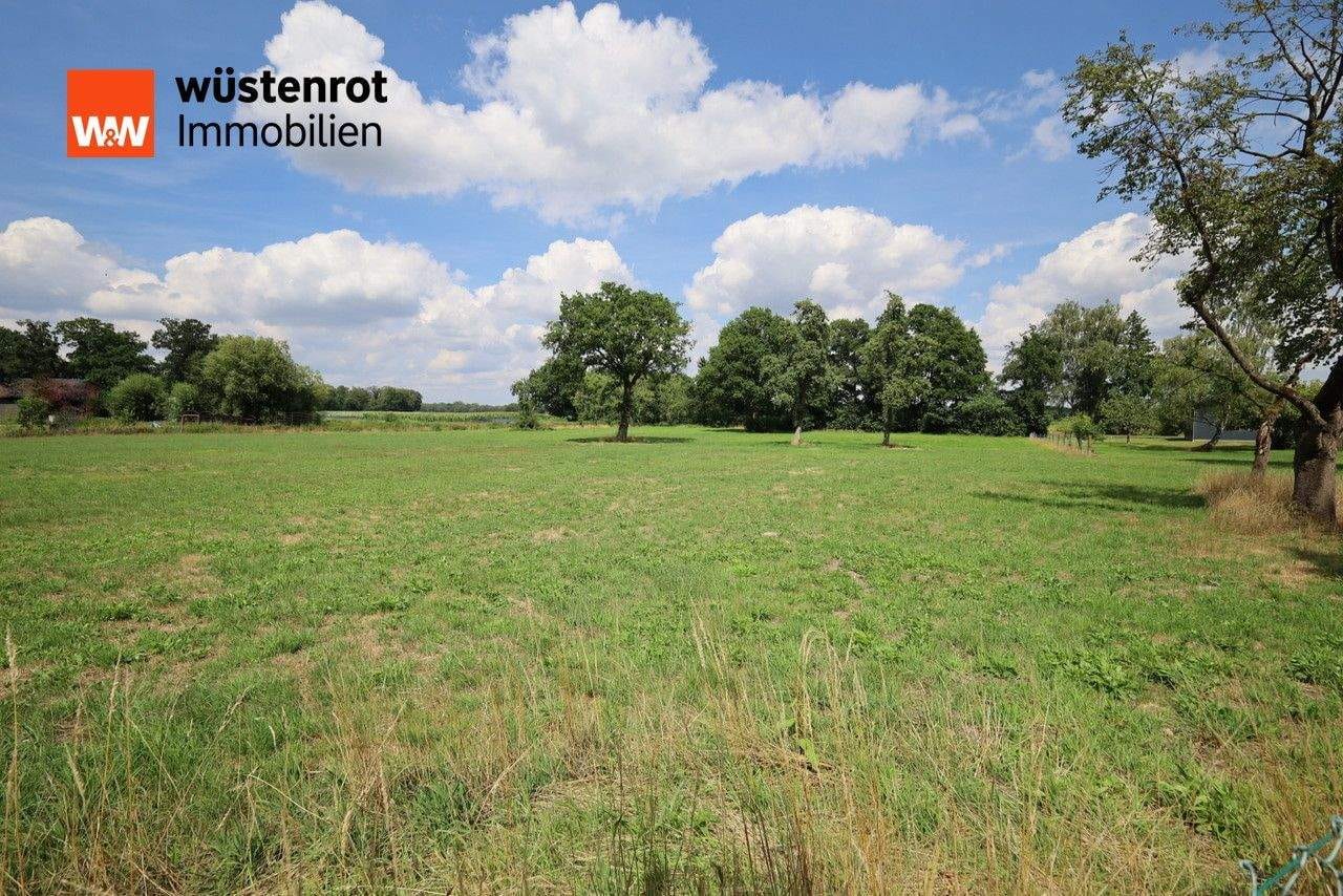 Immobilie in Sulingen - Großer Resthof mit ehemaligen Stallungen, Nebengebäude und Wiese in Groß Lessen zu verkaufen - Bild 1