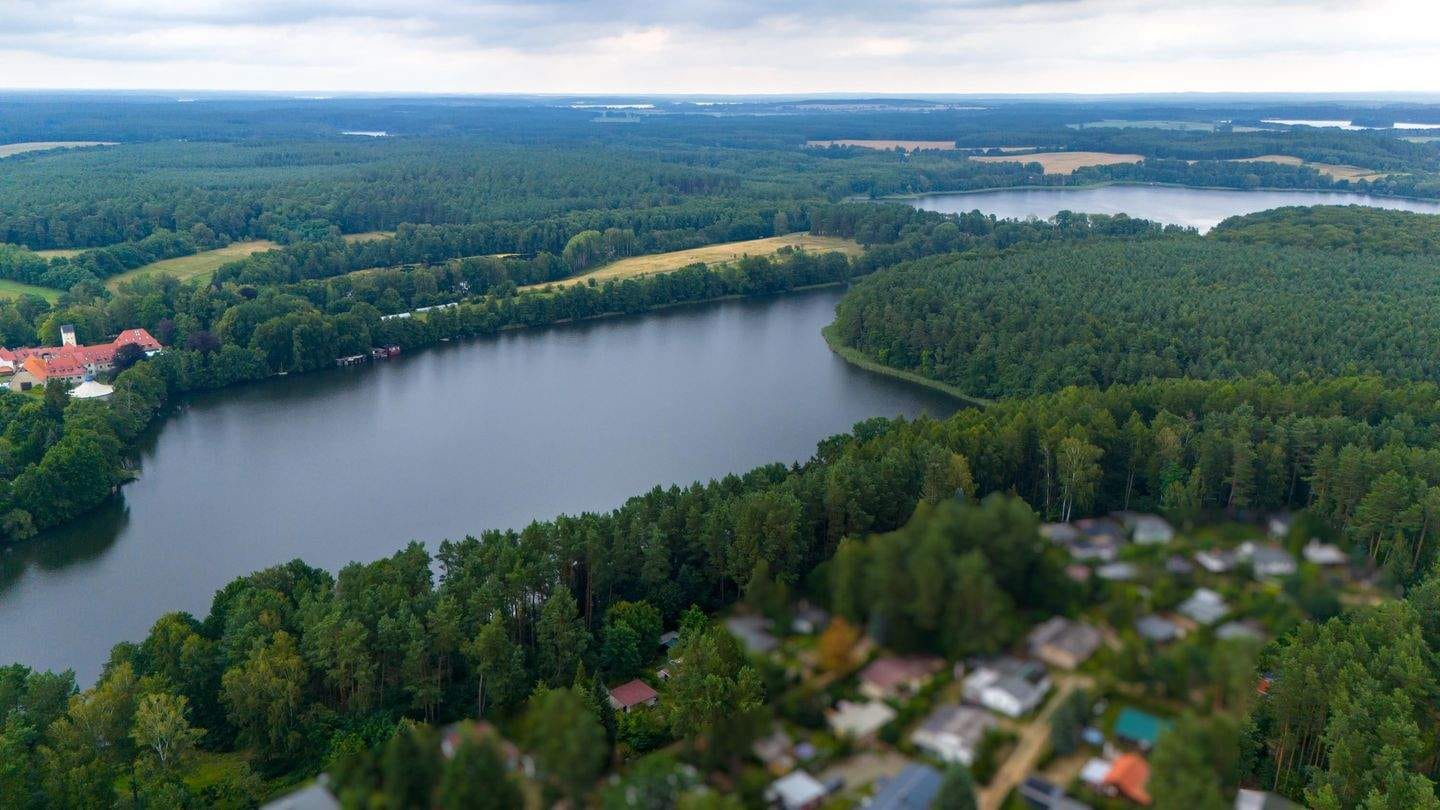 Immobilie in Wustrow - Eigentumsland & Wasserzugang: Zwei Ferienbungalows in purer Natur - Bild 1