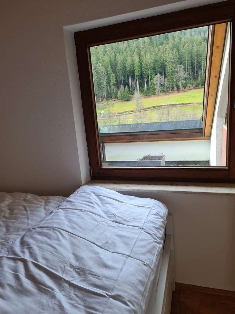 Immobilie in Enzklösterle - Voll möblierte 2 Zimmer DH Wohnung/Ferienwohnung in Enzklösterle mit Tiefgarage - Bild 3