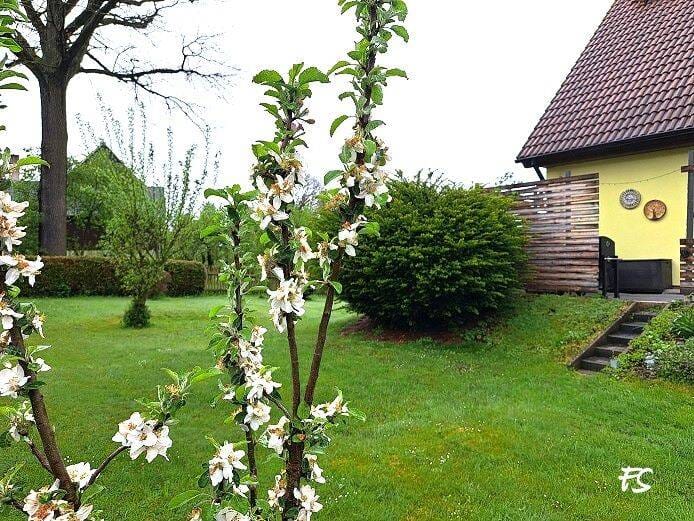 Immobilie in Pausa-Mühltroff - Wohlfühlen -Verkauf EFH - Mehr als ein Zuhause - Bild 1