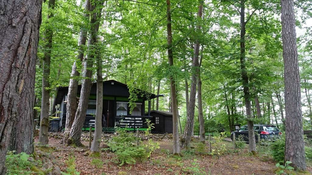Immobilie in Blankenheim - Ferienhaus - auch zum Dauerbewohnen oder zur Vermietung - in waldreicher Höhenlage - Bild 0