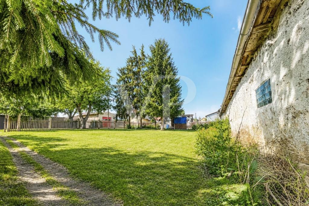 Immobilie in Am Ettersberg - Bauernhaus in Krautheim (Am Ettersberg) - Bild 4