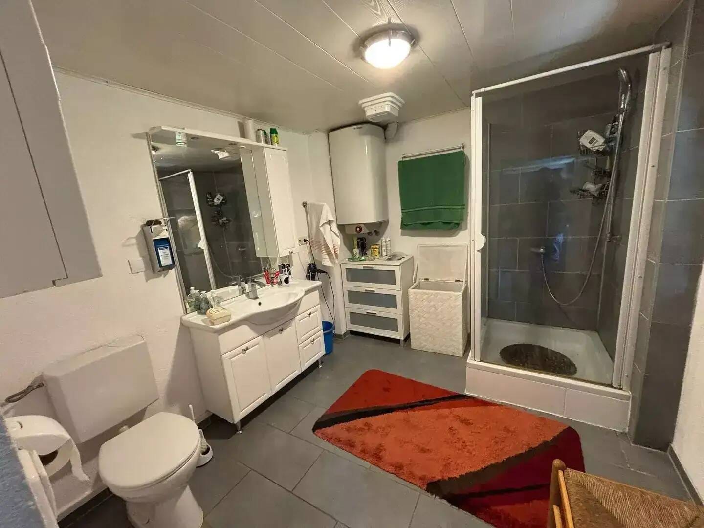 Immobilie in Lichtenstein - Solide Kapitalanlage: Charmantes Wohnhaus mit PV-Anlage im Herzen von Honau - Bild 4