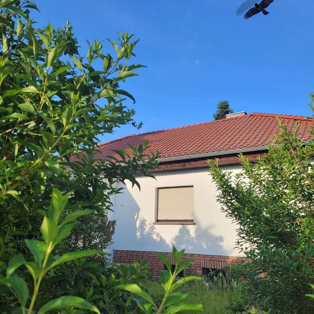 Immobilie in Niedere Börde - EFH ca.200m²/933m² Samswegen nahe Waldgebiet VB - Bild 0