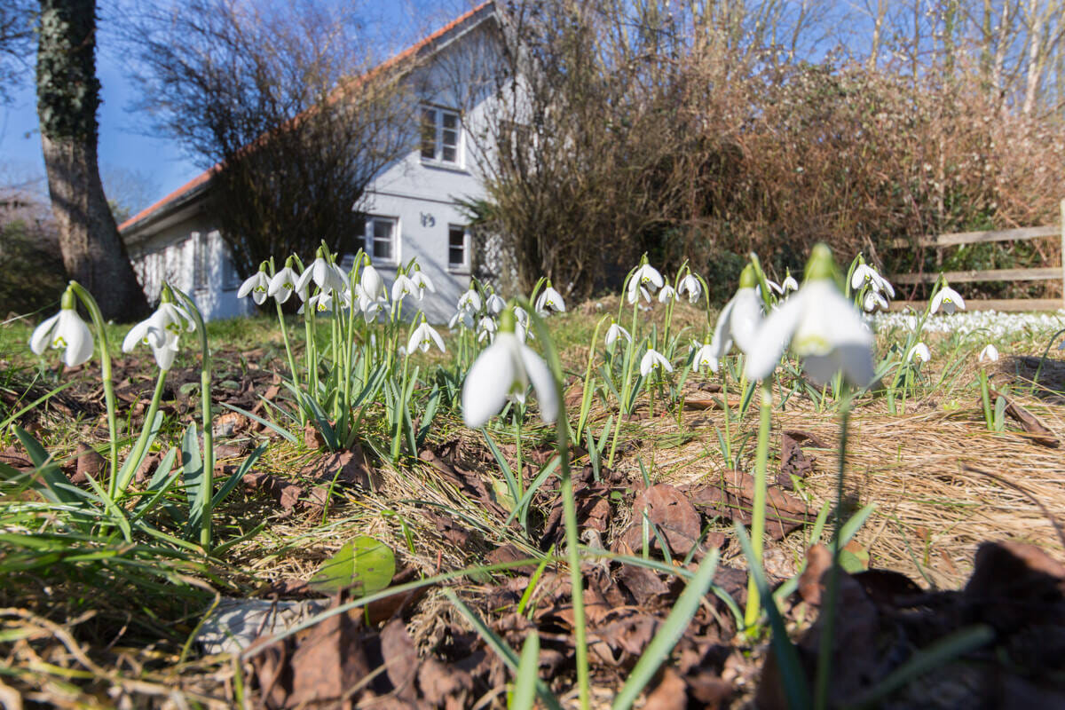 Immobilie in Winnemark - Zweifamilienhaus mit großem Garten in ruhiger Lage - Bild 0