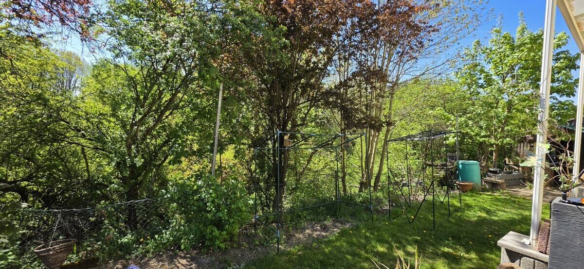 Immobilie in Ampfing - Vermietetes Einfamilienhaus in hervorragender Lage von Ampfing - Bild 3