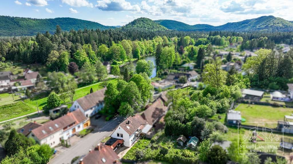 Immobilie in Ludwigswinkel - DHH mit Wintergarten, großer Terrasse, 3 Garagen und Garten in Ludwigswinkel - Bild 3
